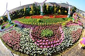 台中國際花毯節　新社花海暨中台灣農業博覽會周六登場
