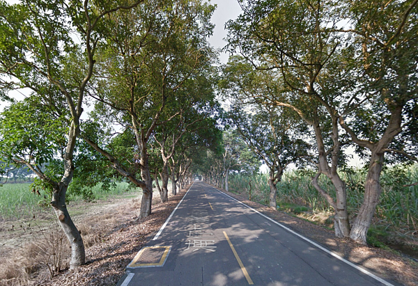 綠色隧道擺攤的李介洲獲法國大獎。（翻攝自Google Map）