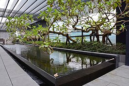 公設有空中花園、空中Lounge、接待大廳、交誼廳、健身房等項目。