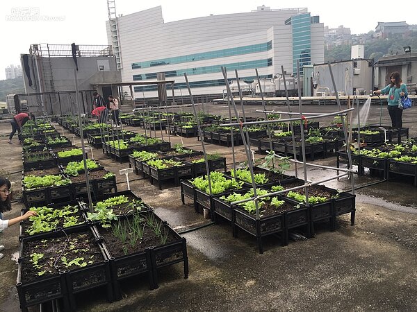 台中市府低碳城市辦公室推動「城食森林計畫」（示意圖／好房資料中心）