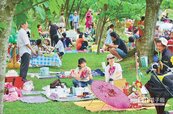 春遊桐花祭　龍潭綠地野餐會 