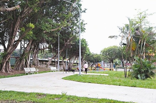 板橋華東公園旁綠地曾是治安死角，如今已種滿各地工程移植過來的樹木，將規畫延伸步道。 記者魏莨伊／攝影