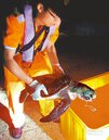 魚鉤下肚　小琉球海龜喪命