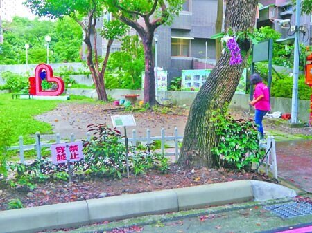 位於新北市五股區的貿商國宅社區旁的林蔭大道,公所日前完成步道優化及設置「貿商意象」景觀裝置。(吳嘉億攝)