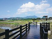 社子島容積放寬？　最高可達225％