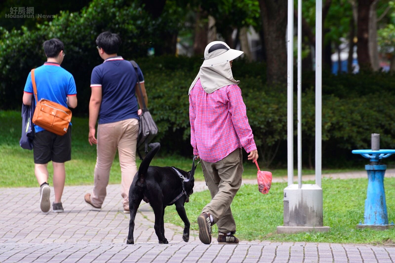 近年來,市區發生毛小孩遭蛇吻案件逐漸增加。(好房網News記者 陳韋帆/攝影)