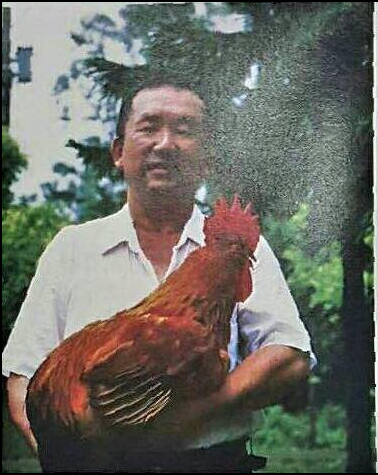 香雞城的創辦人,用心養雞育種13年!(圖/擷取自香雞城臉書)
