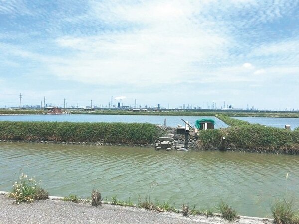 延宕長達28年的台西離島工業區1400公頃魚塭區未解編，嚴重影響漁民養殖權益。 記者蔡維斌／攝影