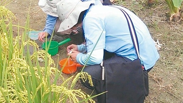 防疫人員在個案居家附近採集病媒蚊。 圖/高雄市衛生局提供