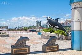 台灣四面環海，又是黑潮交會之處，因此每當東北季風停歇時，總會吸引追著魚群的鯨豚在離岸不遠處嬉戲捕食，其中花蓮是賞鯨豚最重要的基地之一。
只要天氣好，花蓮港碼頭總是擠滿了許多想要目睹鯨豚美妙身影的遊客。在端午連假四天中預期也將湧入大批觀光客，建議可提早卡位。