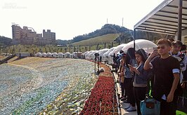 此地還設有觀景台、攝影台區域，讓民眾可以攝影留念