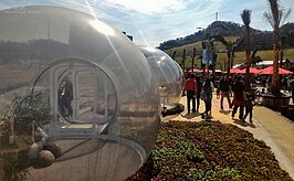 一字排開的造景數量不少