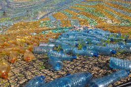 台灣每年約消耗60億支寶特瓶，園區目前不定期舉辦藝文活動，希望透過活動讓民眾思考環保問題。