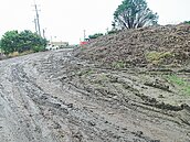 朴子布袋蓮堆路邊　一場雨成爛泥危路
