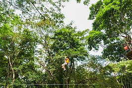 最後一關也是難度最高的一關，因為要挑戰心臟跳動的極限。長達數十公尺的溜索可不是人人有膽嘗試。