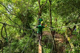 雙索吊橋？這可是小Case。