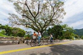 花蓮193縣道起自新城三棧，南止玉里，全長近111公里，是自行車車友口中必定要攻克的一條自行車天堂路。