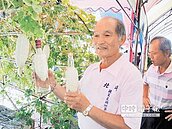 北斗農特產展　瓶中苦瓜吸睛