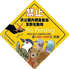 北市防鼠　這區域加強取締餵食