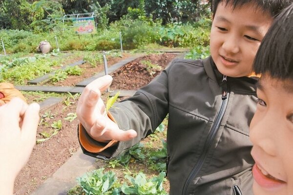 瑪陵國小學童下課時間喜歡到種植有機作物的開心農場觀察自然生態，抓蟲一點都不害怕。 (記者盧禮賓／攝影)