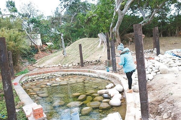 位在鳳坑村的泉池過去曾是洗衫坑,未來則將作為冷泉,成為鳳坑村新亮點。 (記者莊旻靜/攝影)