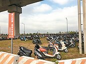 高鐵通車半個月　周遭違停不斷