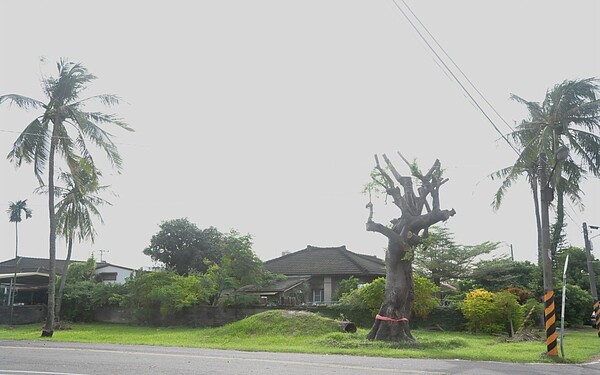 屏東東港共和新村。（文化部台灣社區通）