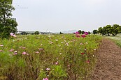 公園管理一條鞭　恐功敗垂成