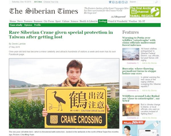 俄羅斯西伯利亞時報今年5月27日在官網刊文報導金山小白鶴故事，並在臉書感謝台灣人。 圖／取自西伯利亞時報官網
