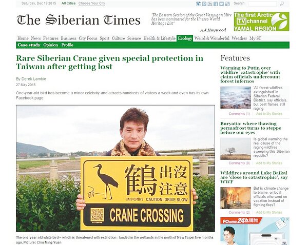 俄羅斯西伯利亞時報今年5月27日在官網刊文報導金山小白鶴故事,並在臉書感謝台灣人。 圖/取自西伯利亞時報官網