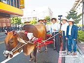 潘孟安駕牛車　下廚料理芹菜管