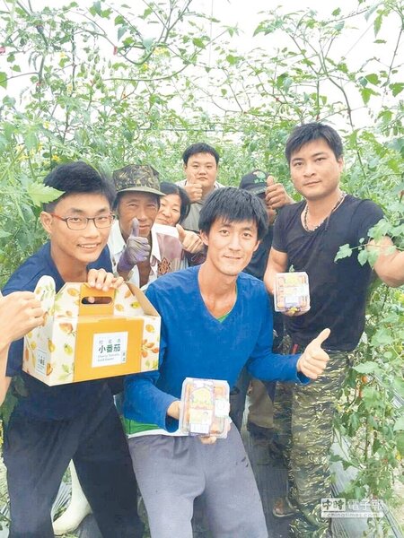 楊日偉（中）號召年輕人打團體戰幫小農行銷，去年橙蜜香番茄賣超過500萬元。（楊日偉提供）