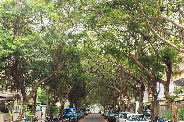 (好房網News記者張聖奕/攝影)