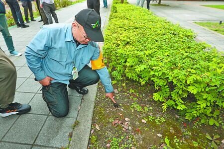 
台北市環保局15日啟動鼠類偵防師服務，偵防師高健富13日說明如何尋找鼠跡與居家防治方式。（杜宜諳攝）
