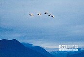 F-16戰機衝場　「沒曙光也值得」