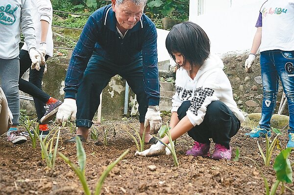 90歲老農徐順發當顧問,教導學生如何照料跳石芋頭。 記者王柔婷/攝影