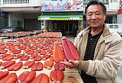 每片漲200元　暖冬喊貴烏魚子