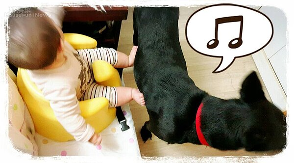 圖片提供:廖心筠(非經授權,請勿轉載)