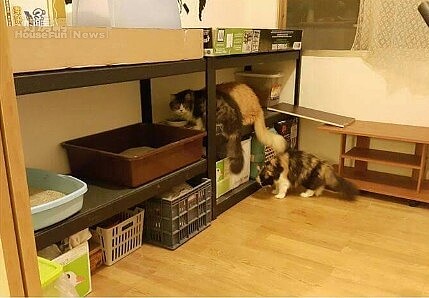 圖片提供:廖心筠(非經授權,請勿轉載)