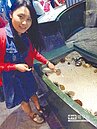 海星另類接觸　海生館摸得到