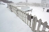 玉山雪花飄飄　積雪深逾2公分