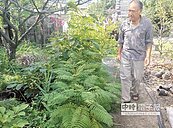 夫妻撿種子　育樹苗免費送