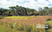 台南百花祭2月4登場　上演西遊季