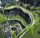 建築物變成會呼吸都市綠洲