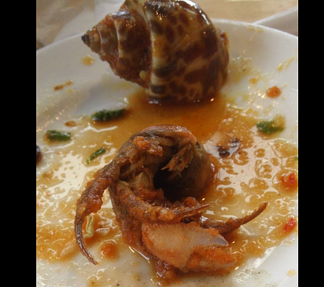 網友PO文說想吃鳳螺卻吃到寄居蟹,網友卻推文表示寄居蟹遇到壞房仲誤一生。(圖/擷取自PTT)