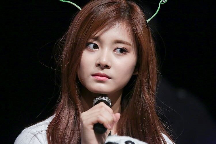 周子瑜事件讓JYP娛樂公司股價瞬間蒸發。(翻攝自周子瑜 Tzuyu 後援會Facebook粉絲頁)