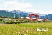 玉里客城鐵橋花海　好攝客搶拍