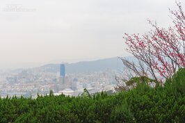 由陽台所看到的台北市風景。