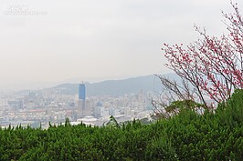 由陽台所看到的台北市風景。