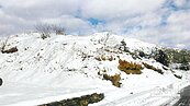 10年最強寒流　合歡山恐大雪　陽明山有機會